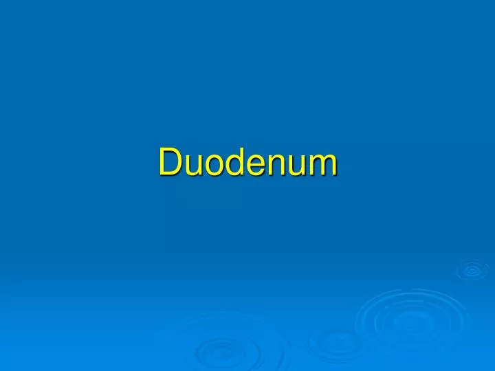 duodenum