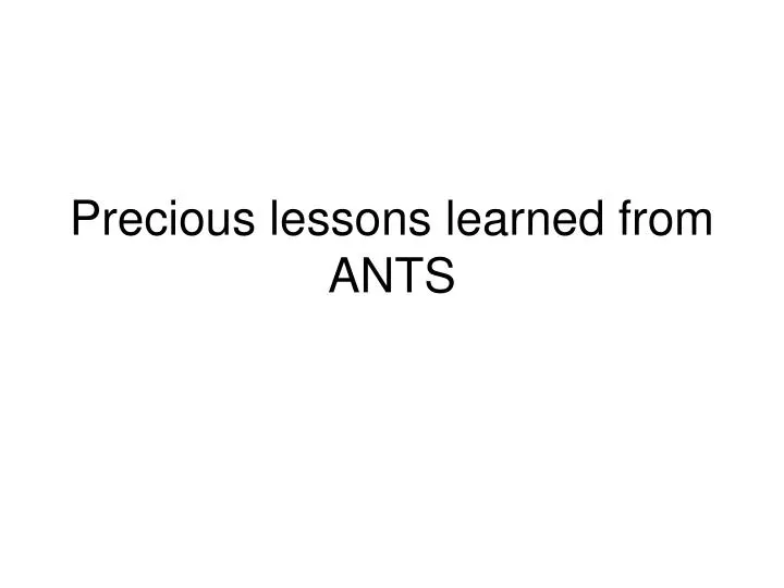 precious lessons learned from ants