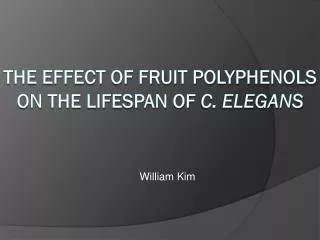 The Effect of Fruit polyphenols on the lifespan of c. elegans