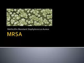 methicillin resistant staphylococcus aureus