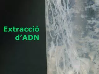 extracci d adn
