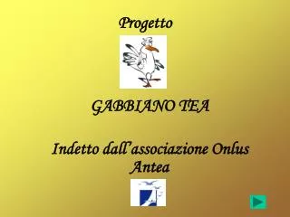 gabbiano tea indetto dall associazione onlus antea