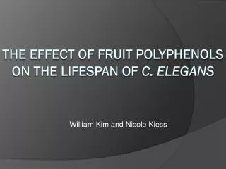 The Effect of Fruit polyphenols on the lifespan of c. elegans