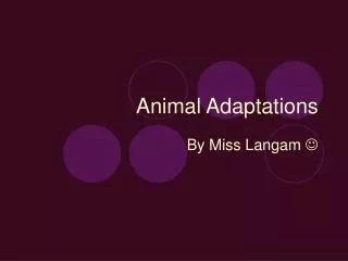 animal adaptations