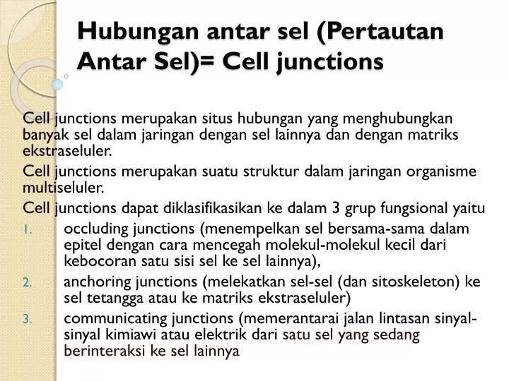 hubungan antar sel pertautan antar sel cell junctions