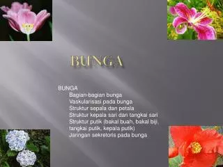 bunga