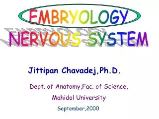 Jittipan Chavadej,Ph.D.