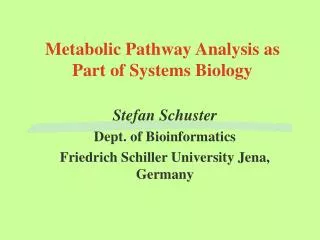 Metabolic Pathway Analysis as Part of Systems Biology