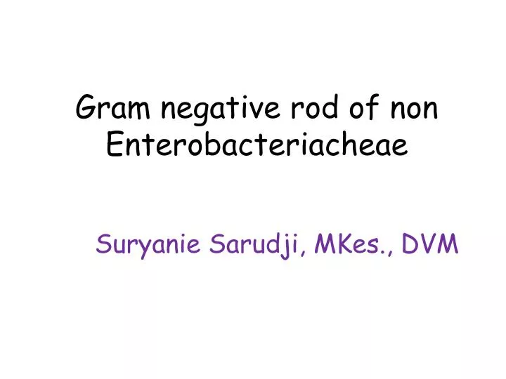 gram negative rod of non enterobacteriacheae