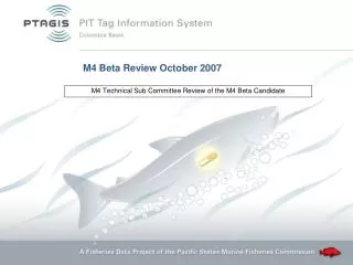 M4 Beta Review October 2007