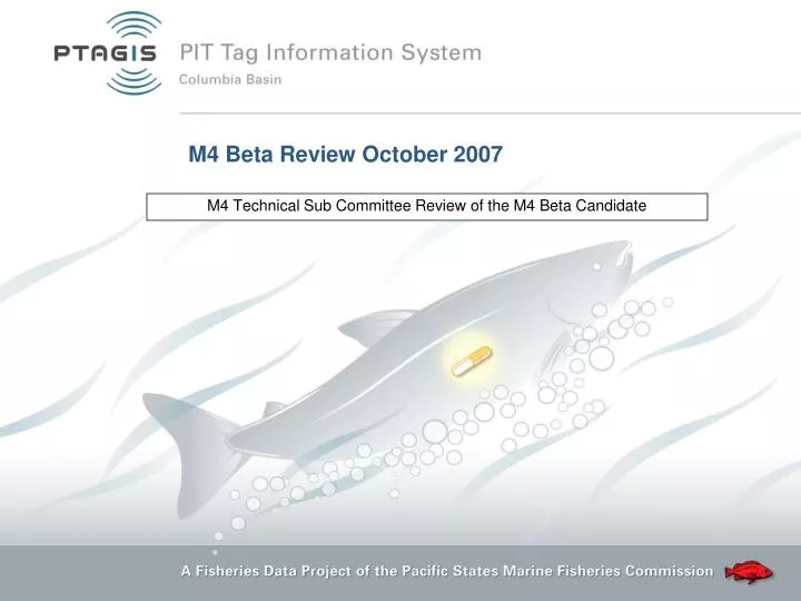 m4 technical sub committee review of the m4 beta candidate
