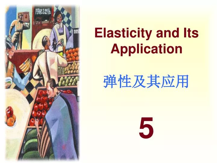 elasticity and its application