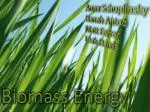 Biomass Energy - slide 1