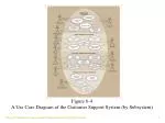 Figure 6-4 A Use Case Diagram of the Customer Support System (by Subsystem) - slide 1