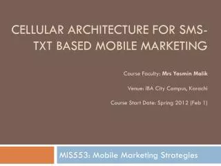 MIS553: Mobile Marketing Strategies