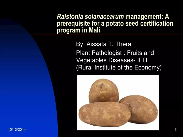 ralstonia solanacearum management a prerequisite for a potato seed certification program in mali