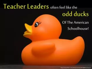Teacher Leaders often feel like the