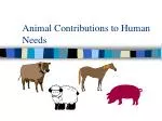 Animal Contributions to Human Needs