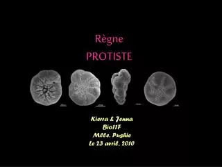 r gne protiste