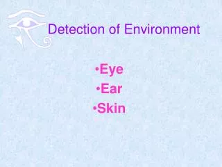 Detection of Environment