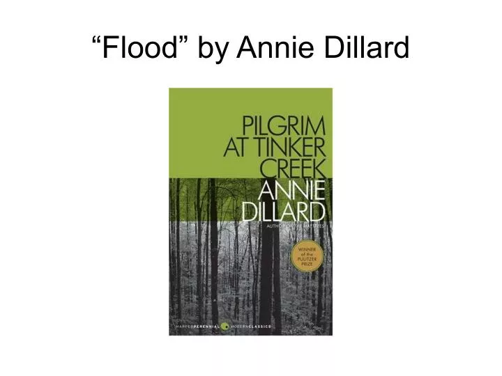 flood by annie dillard