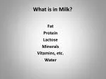 What is in Milk? - slide 1