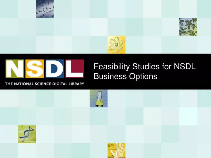 feasibility studies for nsdl business options