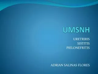umsnh