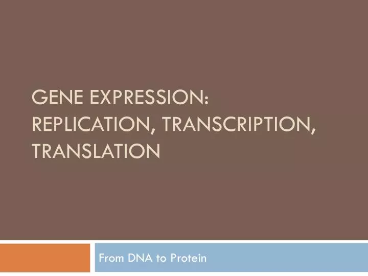 gene expression replication transcription translation