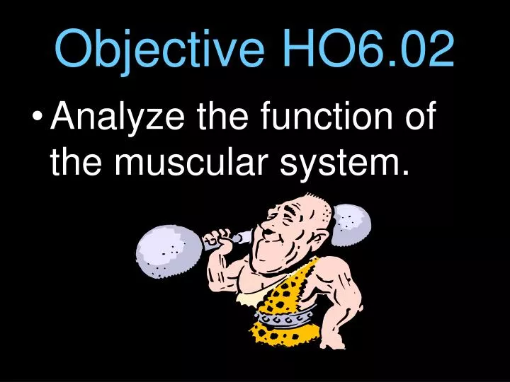 objective ho6 02