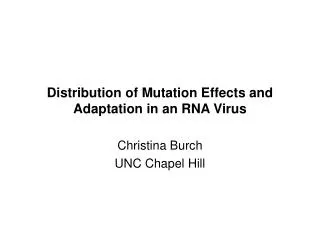 Distribution of Mutation Effects and Adaptation in an RNA Virus