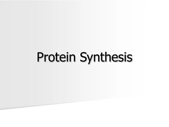 protein synthesis