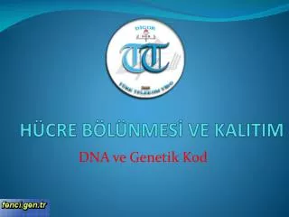 h cre b l nmes ve kalitim