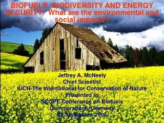 BIOFUELS, BIODIVERSITY AND ENERGY SECURITY: What are the environmental and social impacts?