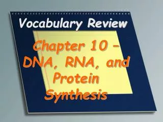 vocabulary review