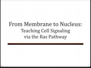 From Membrane to Nucleus: T eaching Cell S ignaling via the R as Pathway