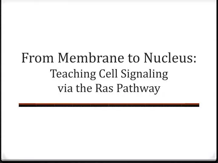 from membrane to nucleus t eaching cell s ignaling via the r as pathway