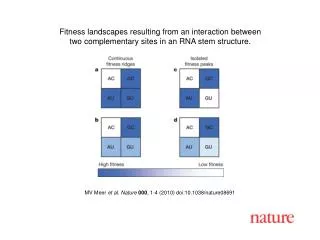 MV Meer et al. Nature 000 , 1-4 (2010) doi:10.1038/nature08691