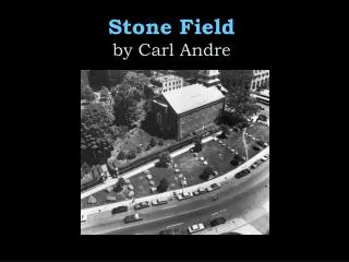 Stone Field by Carl Andre