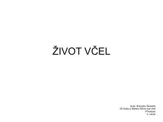 ivot v el