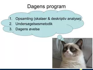 dagens program