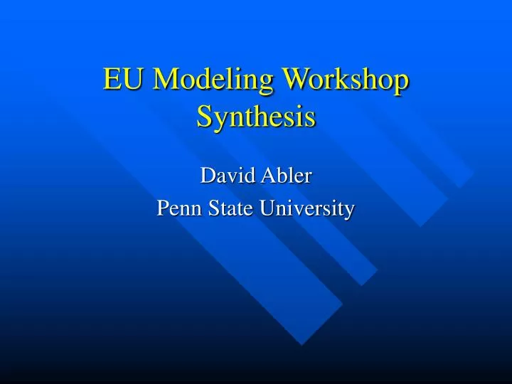 eu modeling workshop synthesis