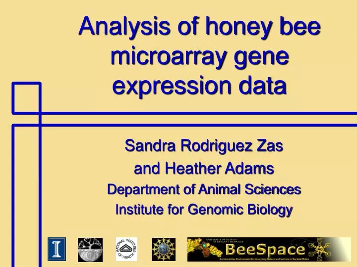 analysis of honey bee microarray gene expression data