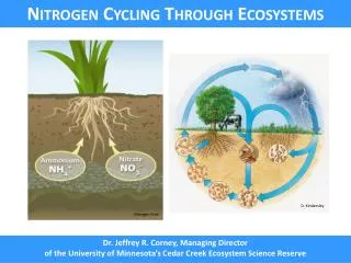 Nitrogen Cycling Through Ecosystems