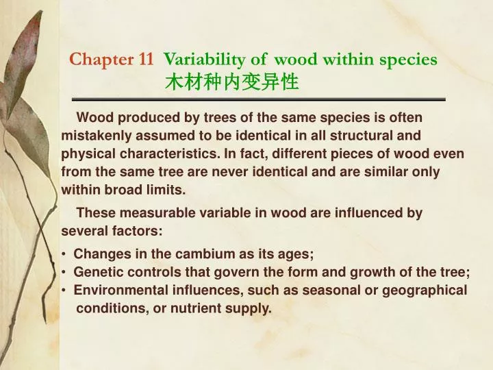 chapter 11 variability of wood within species