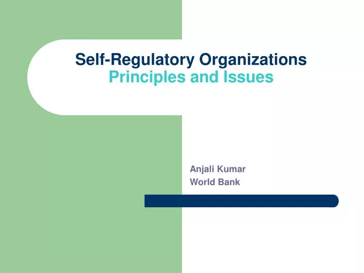 self regulatory organizations principles and issues