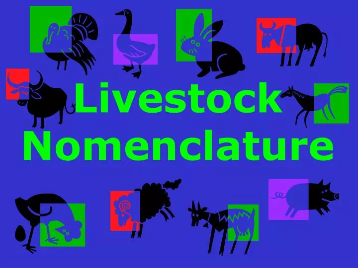 livestock nomenclature