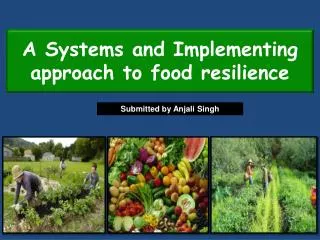 A Systems and Implementing approach to food resilience