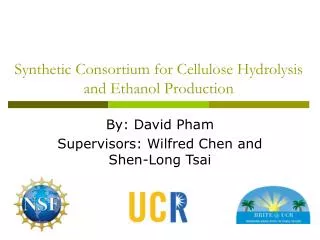 Synthetic Consortium for Cellulose Hydrolysis and Ethanol Production