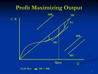 Profit Maximizing Output